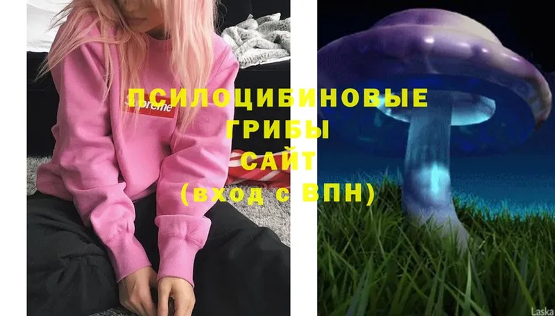 Псилоцибиновые грибы Magic Shrooms  Алейск 